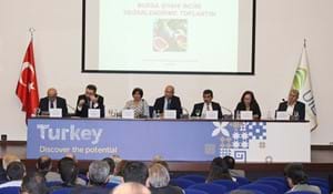 DÜNYANIN EN KALİTELİSİ,  BURSA SİYAH İNCİRİ
